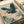 Japanese-style illustration of a blue-green heron in flight with outstretched wings, surrounded by swirling clouds in teal and cream colors. The artwork features traditional woodblock print aesthetics with detailed feather work and decorative cloud patterns. Print is displayed on white paper with rolled edges visible, photographed on a light wooden surface with soft natural lighting.