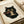Framed print showing a black cat with golden eyes eating ramen noodles with chopsticks from a dark bowl. The artwork features traditional Japanese woodblock print style with beige background and red artist seal stamps. The print appears aged with subtle staining and is displayed in a light wooden frame alongside rolled white papers on a cream surface.