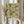 May include: Hands holding a framed botanical art print featuring William Morris-style decorative pattern with flowing vines, colorful flowers in yellow, red and blue, ornate leaves, and berries on cream background. Person wearing beige ruffled sleeves holds dried pampas grass stems against neutral curtained backdrop.