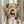 May include: Person holding framed poster featuring black cat reading newspaper while sitting on pink toilet, surrounded by lush green houseplants including trailing vines and potted succulents. Pink bathroom setting with botanical wall art. Golden wheat stems visible beside person wearing cream ruffle-sleeve top.