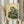 May include: Person in cream ruffled sleeves holding framed artwork showing anthropomorphic frog in traditional Japanese kimono smoking a pipe with steam wisps, surrounded by green foliage. Art features muted green and tan colors in vintage Japanese woodblock print style with characters in upper corner. Dried pampas grass visible to left against neutral background with soft natural lighting.