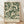 A framed poster with a decorative floral pattern in shades of green and white.