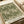 Vintage botanical print featuring intricate green acanthus leaf pattern on cream background. The detailed Art Nouveau-style design shows flowing, ornate foliage with curving stems and decorative flourishes. Print appears mounted on white paper with "MORRIS & COMPANY 1866" and "WILLIAM MORRIS" text at bottom. Cream ribbon and neutral surfaces visible in background, giving the artwork an elegant, classic appearance.