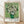 May include: Framed poster print of Van Gogh's white roses painting in green vase against mint green background, displayed in light wood frame on wooden floor against white wall with natural sunlight shadows. The artwork shows thick impasto brushstrokes and Post-Impressionist style with "VAN GOGH Roses, 1890" text below the image.