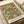 Vintage botanical poster featuring an intricate floral pattern with coral pink roses, green leaves, and flowing vines on a cream background. The decorative design shows William Morris & Company 1866 text at the bottom. The print sits on white paper with a cream ribbon beside it, displaying the classic Arts and Crafts movement style with detailed hand-drawn elements and rich earth tones.
