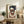 May include: Abstract geometric art print in light wood frame leaning against white wall on rustic wooden sideboard. Artwork features navy blue and terracotta brown organic shapes on cream background. Scene styled with fern plant, ceramic vase, stacked books, and brown leather chair corner visible.