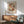 May include: Modern abstract art print with overlapping curved shapes in warm earth tones - browns, oranges, yellows, and blues - displayed in thin wooden frame above mid-century modern credenza. Sage green upholstered armchair with wooden arms sits nearby, white ceramic table lamp on credenza, natural sunlight casting shadows on white wall.