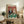 May include: Framed vintage-style poster showing two cats in formal attire playing poker at green felt table with cards, chips, and wine. Tabby cat in tuxedo and orange cat in sparkly dress against ornate red wallpaper background. Display shows rustic wooden console with books, ceramic vase, fern plant, and beige armchair in cozy living room setting.
