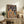May include: Framed poster showing two cats in space suits sharing a meal on an alien planet surface. Orange tabby and black cat wear astronaut helmets against starry space background with rocket ship and Earth visible. Vintage-style artwork in wooden frame displayed on rustic sideboard with fern plant, books, and ceramic vases in neutral-toned living room setting.