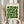 May include: Person in beige ruffled sleeve top holding framed geometric poster with green semicircles and quarter-circles arranged in grid pattern on cream background, "BAUHAUS" text at top and "Ausstellung Juli - Sept 1923" at bottom, dried pampas grass visible to left, soft neutral curtains in background