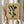 May include: Hands holding a framed botanical art print featuring dark green stylized leaf shapes arranged in an organic pattern against a warm beige textured background. The print is displayed in a simple light wood frame. Person wearing cream-colored ruffled sleeves holds dried wheat stalks in one hand while presenting the artwork near a bright window with soft natural lighting.