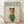 May include: Framed poster featuring a white poodle wearing round sunglasses, colorful striped headscarf, and green knit sweater against cream background. Green "DOGUE" text at top parodies fashion magazine cover. Light wood frame sits on wooden floor against white wall with soft natural lighting and fabric shadows.