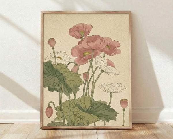 May include: Framed botanical illustration print leaning against white wall on light wood floor. Artwork features pink and white poppies with green stems and leaves on cream background in vintage scientific illustration style. Natural wood frame, soft window light casting shadows across scene.