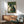 May include: Framed poster print in wooden frame hanging on white wall above mid-century modern wooden credenza with table lamp. Green fabric armchair and round coffee table visible in foreground. Artwork shows five cats in cream, black, and tuxedo colors sitting around green felt card table playing poker, rendered in woodblock print style with textured green background.