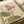 May include: Vintage botanical illustration print displayed on cream colored paper showing pink and white poppies with green stems and leaves. The delicate watercolor-style artwork features blooming flowers and unopened buds against a beige background with visible paper texture. Print appears matted or framed and is photographed alongside neutral fabric ribbon on a soft surface.
