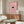 May include: Framed poster print featuring a black cat with white eyes peeking through dense pink and white daisy flowers, displayed above a mid-century modern wooden credenza in a minimalist living room with cream walls, white upholstered chair, and oval glass coffee table