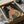 Stylized leopard wearing green sunglasses and coral turtleneck sweater illustrated on dark background, displayed in black frame being unboxed from cardboard shipping package with protective wrapping materials and tape dispenser visible nearby