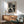 May include: Black and white poster featuring stylized cats with polka dot patterns in a wooden frame, hanging above a mid-century modern wooden credenza with white ceramic lamp, next to a sage green upholstered armchair with wooden arms in a sunlit room with white walls.