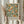 May include: Person holding framed botanical poster featuring orange citrus fruits and green foliage in William Morris decorative style against cream background, with dried pampas grass stems visible to left, neutral curtained interior setting