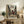May include: Framed anime poster displaying a samurai character in red clothing wielding a sword on a village street scene with Japanese text at top. Light wood frame sits on rustic wooden sideboard alongside fern plant, books, and ceramic vase. Beige armchair with leather cushions visible in foreground against cream wall.