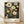May include: Framed botanical art print leaning against white wall on light wood floor. Black background with cream and yellow flowers in detailed scientific illustration style, featuring large circular blooms, ferns, and delicate stems with dotted textures. Natural wood frame, soft lighting creates gentle shadows on textured white fabric backdrop.