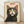 May include: Framed poster print featuring a black and white tuxedo cat with large yellow eyes and orange inner ears against a cream textured background, with red "Meow" text above. The artwork has a vintage illustrated style with detailed whiskers and fur texturing. Light wood frame sits on wooden floor against white wall with soft natural lighting creating shadows.