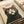 May include: Vintage-style poster print featuring a black and white tuxedo cat with bright yellow-green eyes and open mouth saying "Meow" in red text. The illustration shows detailed whiskers and fur texture in a retro comic book art style on cream colored paper, displayed in a light wooden frame alongside white gift boxes with ribbon on a neutral surface.