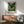 May include: Framed poster displaying a lush mountain landscape with rolling green hills, golden flowering trees in foreground, and yellow sun in sky. Print features "YAYOI KUSAMA" text and "Voice of the Deep" subtitle in exhibition poster style. Shown hanging above wooden sideboard with white ceramic lamp, next to mid-century modern chair with sage green upholstery and walnut wood arms in sunlit room with white walls.