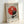 May include: Framed geometric poster featuring red and black circular design with intersecting lines and shapes on beige background, displayed against white wall corner. Light wood frame complements the Bauhaus-style artwork with "Ausstellung 1919" text at bottom in minimalist typography.