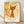 May include: Framed Paul Klee art print featuring stylized orange cat with pointed ears, yellow eyes, and curly tail on textured golden background. Poster displays "PAUL KLEE 1924 La danse des couleurs Switzerland" text below artwork. Light wood frame with white matting, leaning against white wall on wooden floor with soft natural lighting and shadows.