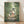 May include: Framed poster print featuring animated characters in a lush bamboo forest path. Large gray creature with umbrella stands behind two children and small white creatures. Vibrant green foliage surrounds dirt pathway. Japanese text appears below English title. Natural wood frame against white wall with soft shadows on light wooden floor.