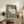 May include: Framed vintage Japanese woodblock print of a white hen with red comb walking on sage green background, displayed on rustic wooden sideboard alongside fern plant, ceramic vase, and books in cozy living room setting with cream upholstered chair and warm lighting