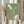 May include: Person holding framed vintage Japanese seafood poster with green background, featuring white illustrations of squid and abalone shell alongside Japanese text in white and golden brown colors. Dried wheat or pampas grass visible on left side. Neutral beige clothing and curtained background create soft, natural styling.