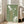 May include: A framed vintage-style Japanese seafood poster with green background displayed in a bright living room. The artwork features white illustrations of a squid and abalone shell with Japanese characters in white and gold text. The wooden-framed print leans against a white wall next to a beige upholstered sofa, with natural sunlight streaming through tall windows onto hardwood floors.