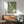 May include: Green vintage-style Japanese poster featuring white squid and abalone illustrations with Japanese text, displayed in wooden frame above mid-century modern credenza with ceramic lamp, next to sage green upholstered chair with wood arms in sunlit room with white walls.