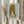May include: Person in cream sweater holding framed art print featuring anime-style girl with blonde hair in yellow top, styled in minimalist exhibition poster format with artist name and dates below. Dried pampas grass visible on left side against neutral wall background.