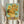 May include: Person in cream ruffled sleeves holding framed Van Gogh sunflowers reproduction against white curtained window, with dried wheat stems visible to left. Print shows yellow sunflowers in ceramic vase against turquoise background, displayed in light wooden frame.
