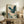 May include: Framed Japanese-style artwork featuring a blue-green heron with outstretched wings soaring through swirling clouds and traditional wave patterns, displayed on a rustic wooden sideboard alongside potted ferns, ceramic vases, and books in a neutral-toned living room with beige walls and leather furniture