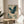 May include: Japanese-style artwork featuring a blue-green heron with outstretched wings flying through stylized swirling clouds in teal and cream colors, displayed in a thin wooden frame on a round wooden side table next to a beige upholstered chair, with natural sunlight casting shadows across white walls and a plant visible in the corner.