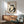 May include: Japanese-style artwork featuring a black silhouette frog in a contemplative pose holding a small bowl, displayed in a wooden frame above a mid-century modern walnut credenza. The minimalist print has a cream background with a red seal stamp. Scene shows teal upholstered chair with wood arms, white ceramic table lamp, and dramatic diagonal sunlight casting shadows across white walls.