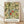 May include: Framed botanical poster with intricate Victorian-style floral pattern featuring green leaves, golden flowers, red blooms, and decorative scrollwork on cream background. Light wood frame sits on wooden floor against white wall with soft natural lighting creating gentle shadows.