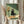 May include: Person in cream ruffled sleeve top holding framed artwork and dried pampas grass against white curtained window. The illustrated print shows a black cat with large white eyes sitting behind a pizza box and glass vase with orange and white flowers, rendered in muted green and cream tones with vintage-style shading.
