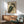 May include: Japanese woodblock print of an owl with brown and teal feathers and large orange eyes, displayed in a thin wooden frame above a mid-century modern wooden sideboard. A white ceramic table lamp sits on the credenza next to a teal upholstered armchair with wooden arms. Warm sunlight streams across the white wall creating geometric shadows in this contemporary living room setting.