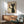 May include: Framed poster showing a black cat with white eyes holding up a glass of red wine, displayed above a wooden sideboard with white ceramic lamp in a modern living room with mint green upholstered chair and natural lighting creating shadows on white walls