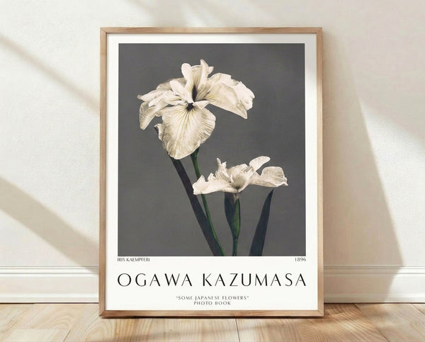 Framed botanical art print of an iris flower with delicate stem and leaves in muted tones of cream, gray, and dark green on a pale background, reflecting serene Japandi minimalism.