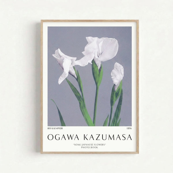Serene iris flower art print in lavender-gray and green tones, featuring delicate petals and foliage in elegant wabi sabi aesthetic.