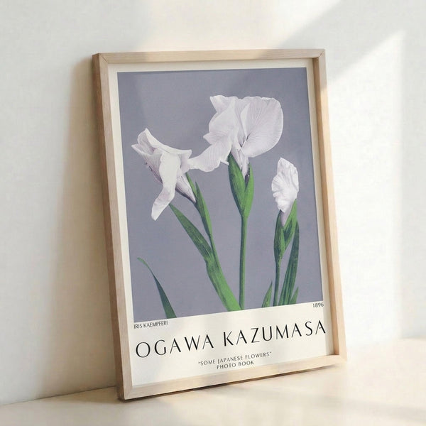 Minimalist framed iris Kaempferi artwork with soft naturalistic rendering in whites, grays, and muted greens against a cream field.