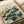 Japandi wall art of a graceful water lily and lotus leaves rendered in soft, earthy tones of cream, pale green, and rose, evoking tranquil Japanese woodblock tradition.