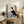 Japanese-inspired wall art featuring a geisha in repose by a window overlooking landscape, rendered in woodblock technique with sophisticated cream, black, and coral color harmony.