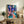 Modern abstract artwork celebrating tropical jazz with dynamic musician silhouettes and palm fronds in bold pops of coral, turquoise, and purple against rich blue tones.
